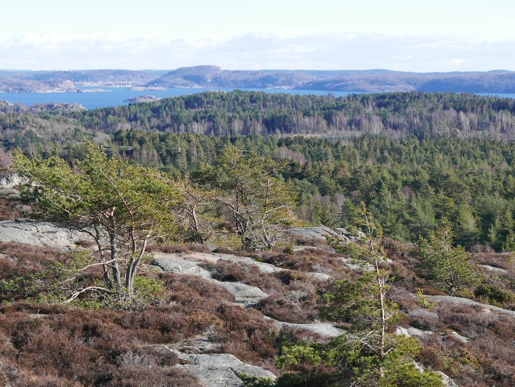 Lekanders Baer & Boende Tyfta Bagian luar foto