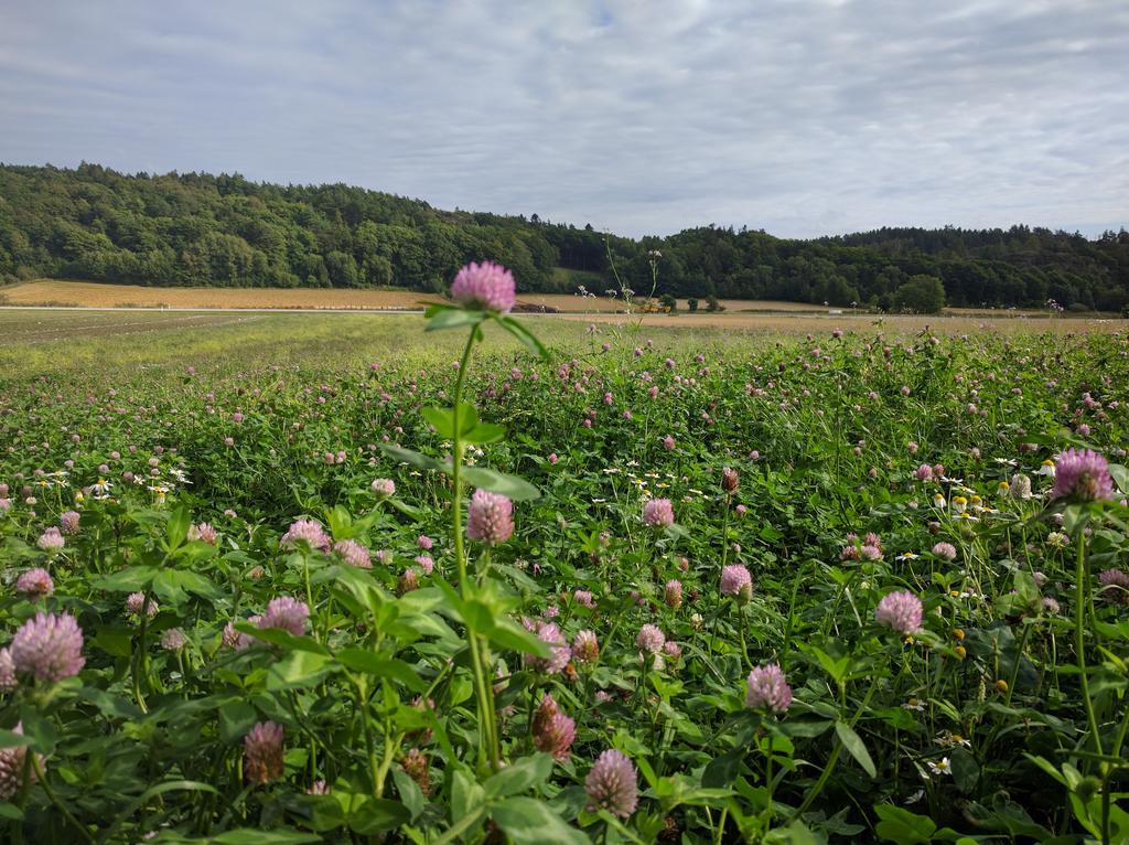 Lekanders Baer & Boende Tyfta Bagian luar foto